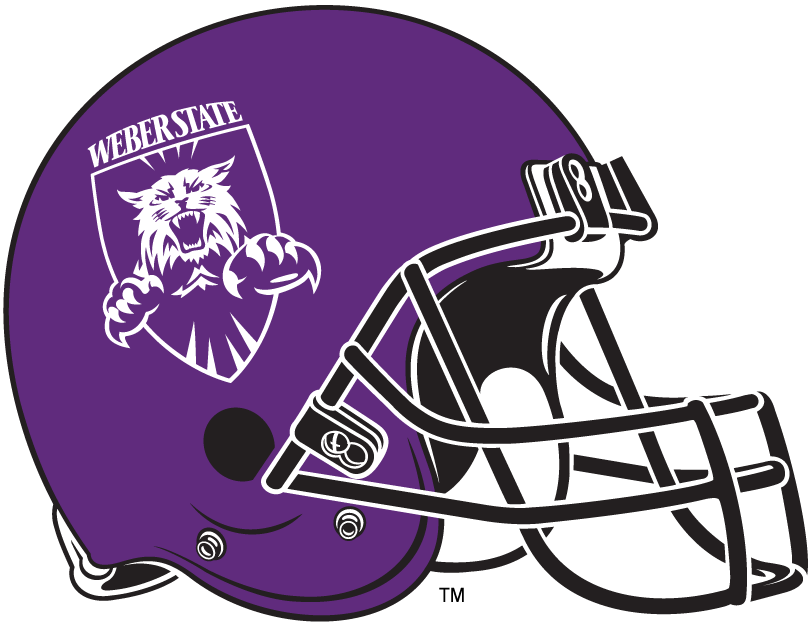 Weber State Wildcats 2006-2011 Helmet Logo t shirts DIY iron ons